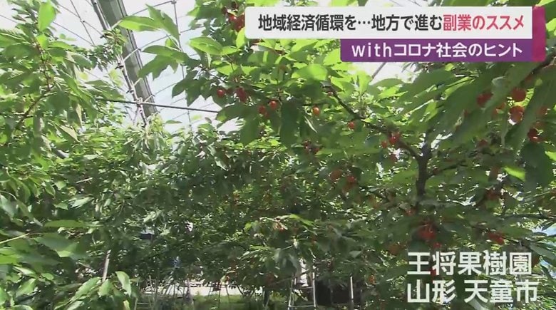 王将果樹園