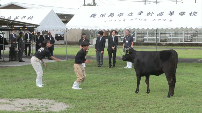 県立曽於高校で牛の調教を視察された秋篠宮さまと悠仁さま(鹿児島・曽於市)