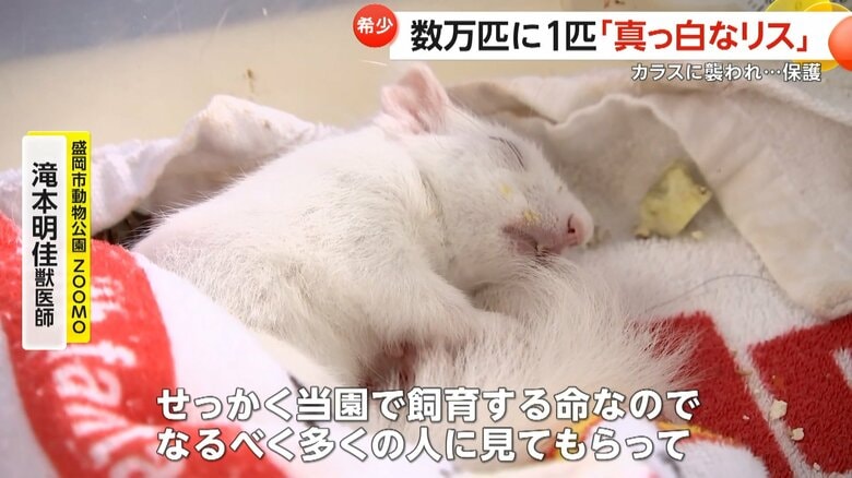 今後は園内で飼育する予定だという