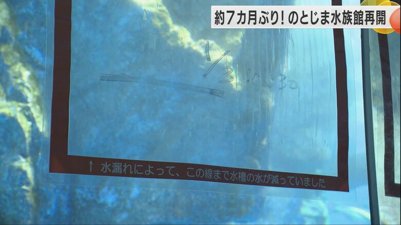 水槽には飼育員が必死に生き物を守った「跡」が残されている