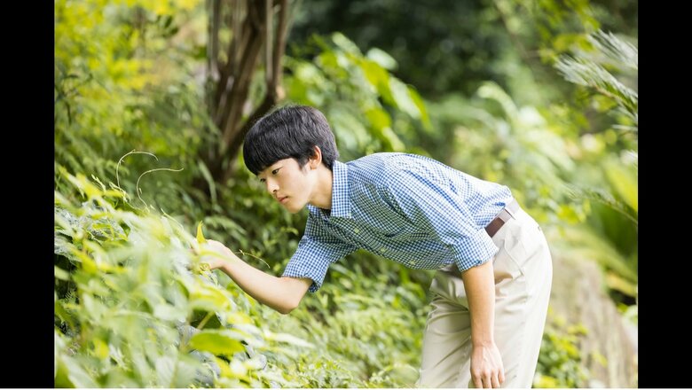 秋篠宮邸庭にて　写真提供　宮内庁