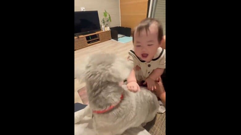 初タッチの瞬間（提供：こんぶさん）