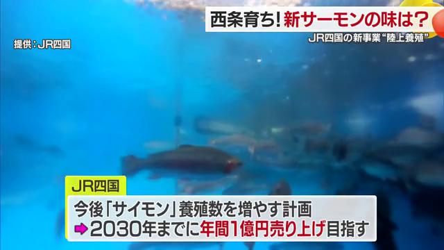 年商１億円を目指すJR四国の新規事業