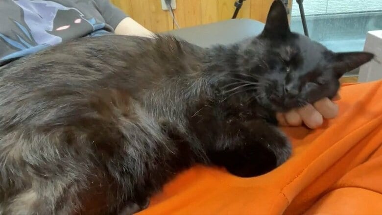 幸せそうな様子