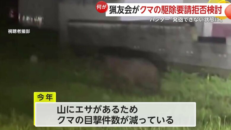 2024年はクマの目撃件数が減っているが、いつどこで現れるか分からず警戒が必要