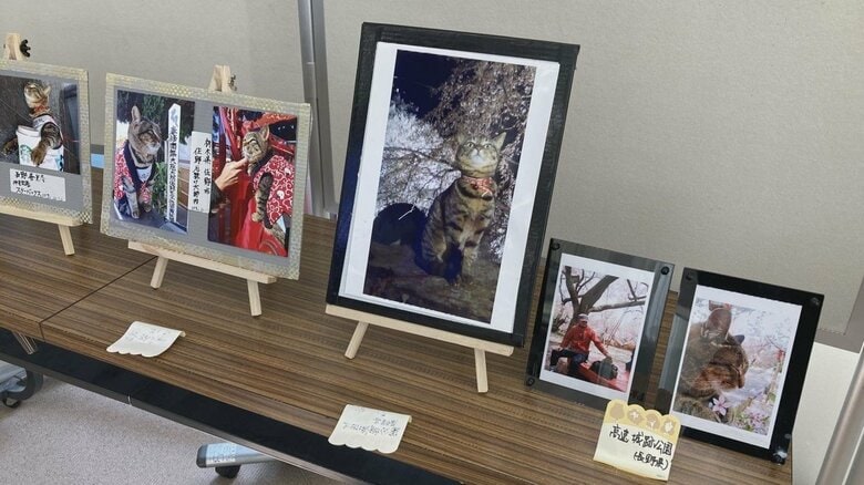 全国を旅した高橋さんとさくら