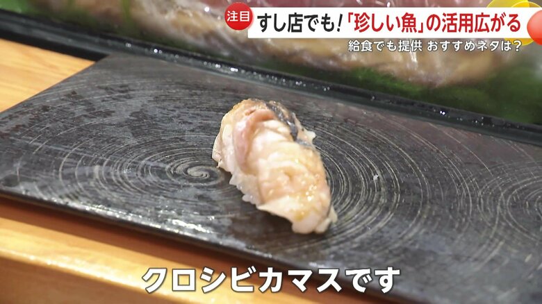 クロシビカマスのにぎり