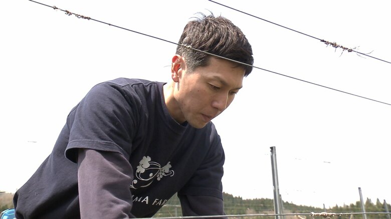 古里の由利本荘市矢島町でワイン造りを始めた豊島昴生さん（35）