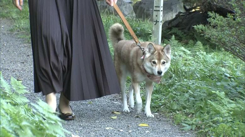 愛子さまと歩く愛犬「由莉」（2021年）