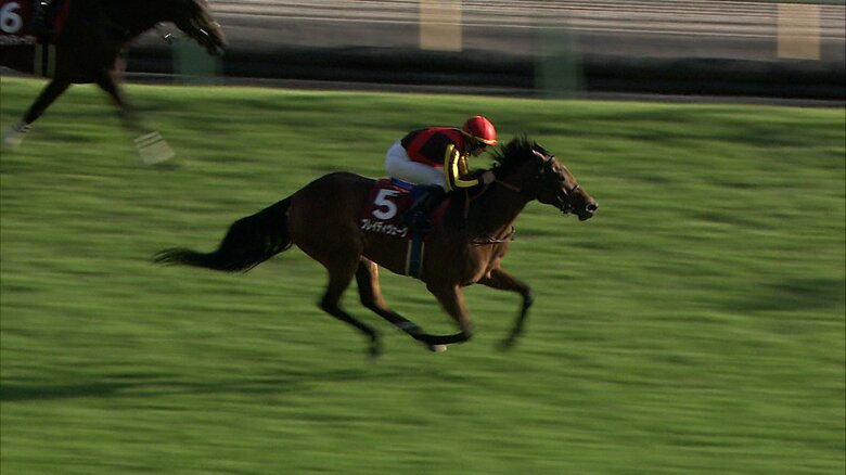 2024年 府中牝馬S・GⅡを完勝したブレイディヴェーグ