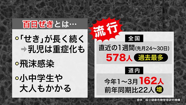 「せき」が長引く百日ぜき