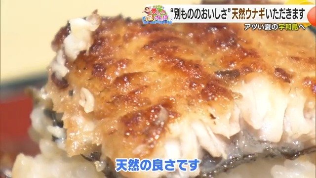 天然ウナギで夏バテを吹き飛ばそう