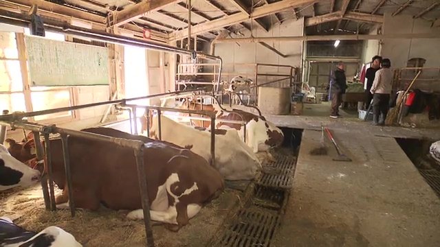 廃業を考えていた牧場を譲り受ける