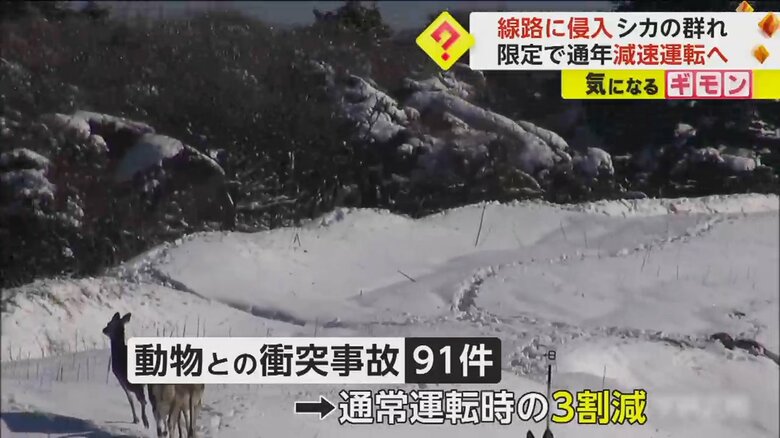 線路脇へ走っていくシカ