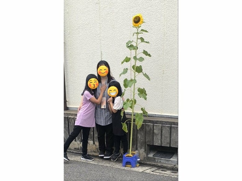 ひつじさんよりも大きい…