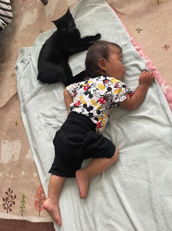 提供：ゴンゾウR4さん