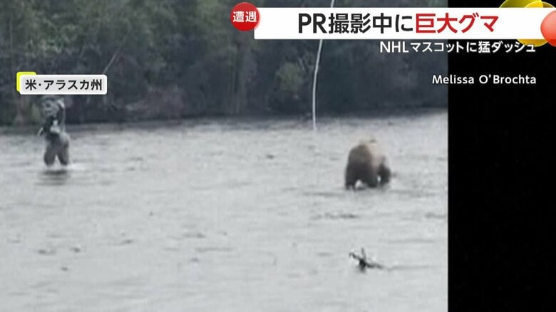 このあとクマはサーモンを捕まえ山へ帰った