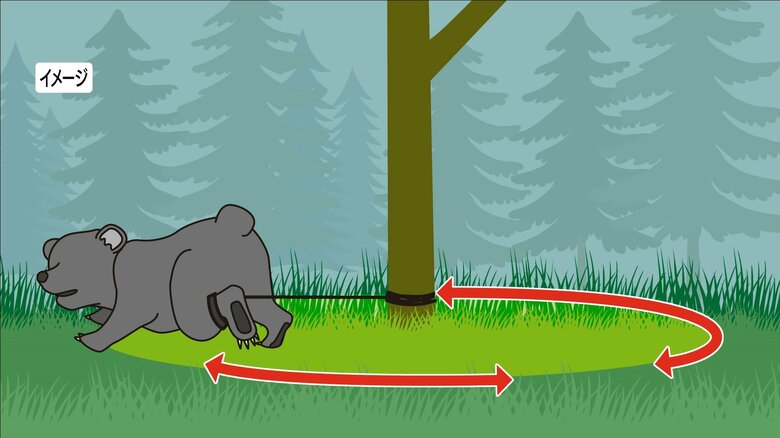 イメージ　くくりわな