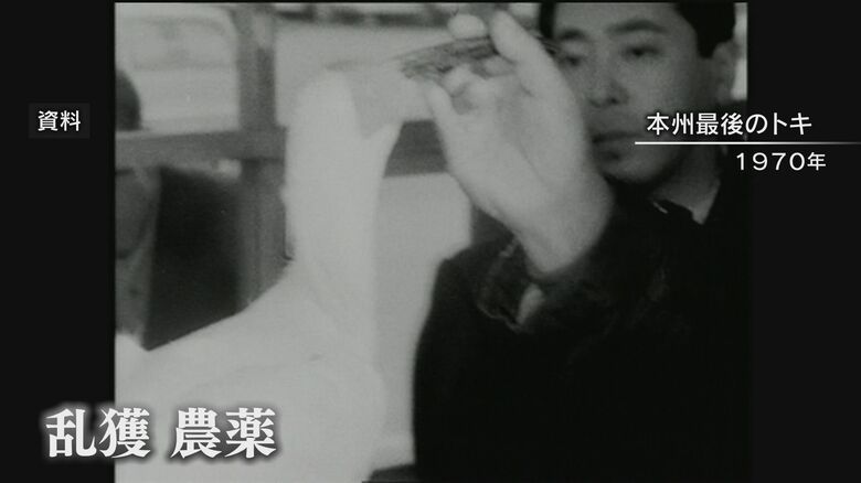 1970年代に確認された本州最後のトキ