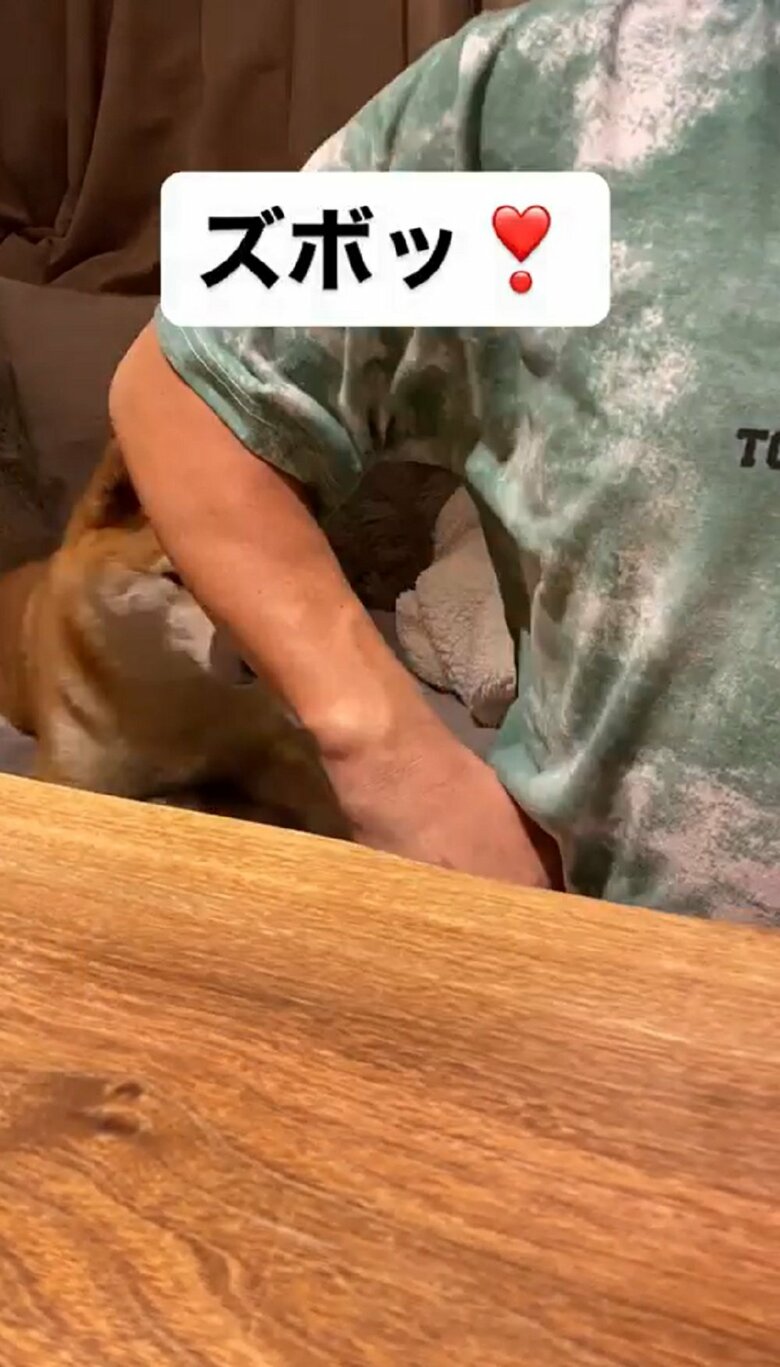 父ちゃんが脇下に隙間を作り「ズボッ」と指示すると…