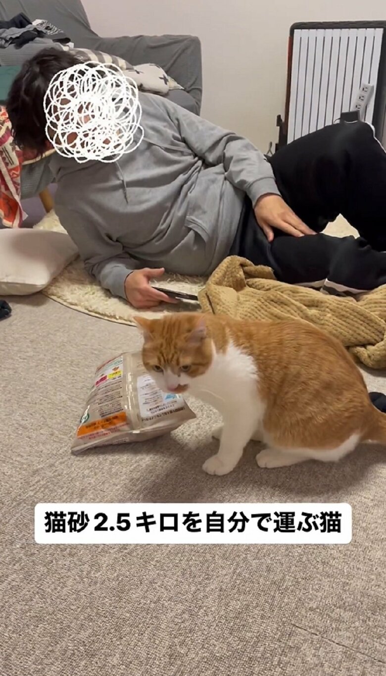 「ふぅ」と一仕事終えたオフくん