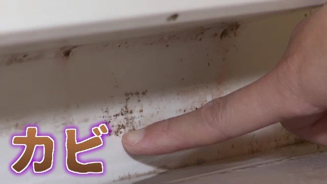 カビが健康被害を引き起こすことも