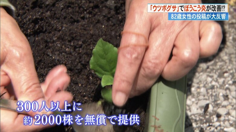 同じ悩みを抱える人へ、苗を無償で提供