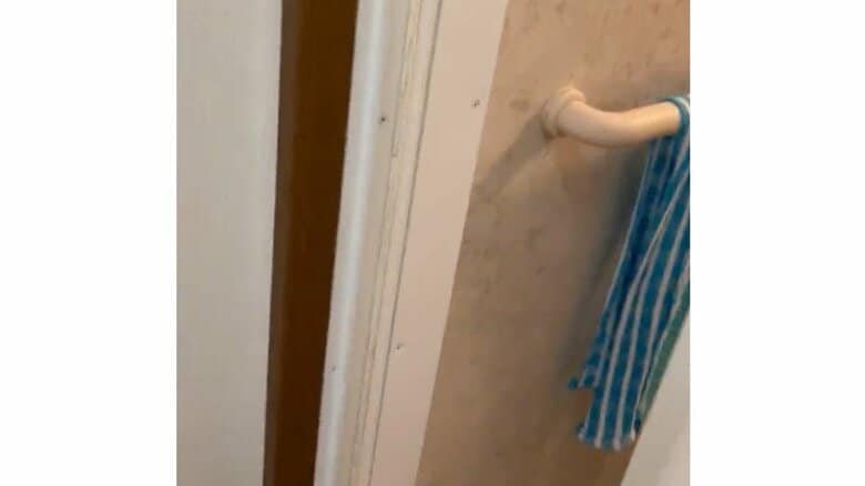 音が聞こえた方向に行くと…