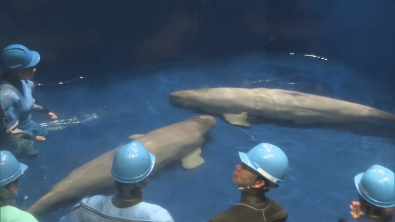 様々な困難を乗り越え、さらに成長した姿に期待