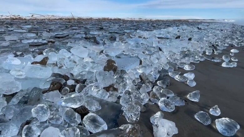 数えきれないほどの氷塊（提供：りなさん）
