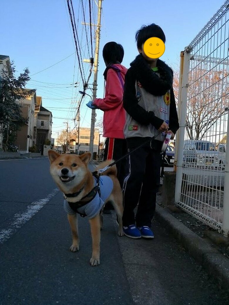 提供：柴犬スティーブch【コーギーと猫を添えて】さん