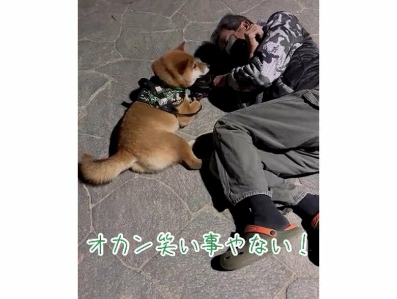 提供：カンさん