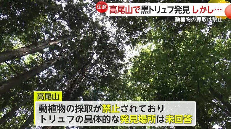 「さる園・野草園」によると具体的な場所は教えられないとのこと