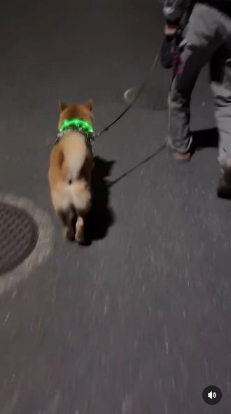 提供：カンさん