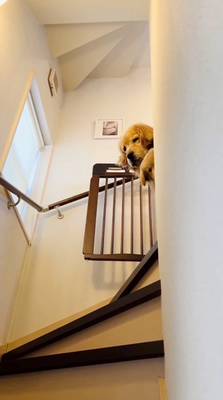 提供：efrinmanさん