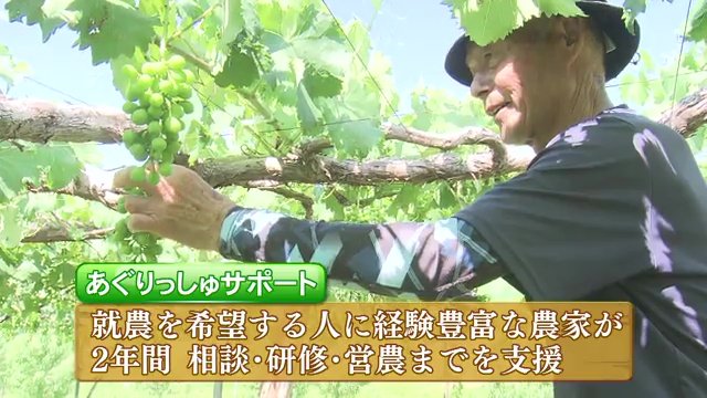 この道60年の農家・伊藤隆徳さんがサポート