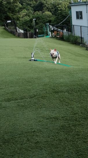 提供：むぎさん