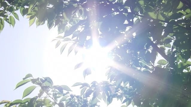 まもなく本格的な夏に