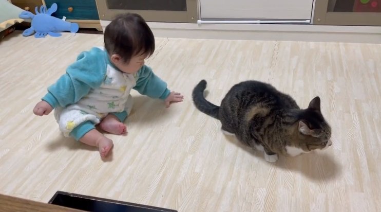 まずは近寄って…