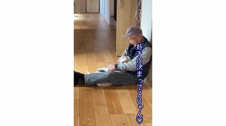 「好きに決まってるじゃん」ブン太くんを抱えるおじいちゃん