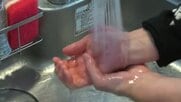 三連休は腸の感染症に注意　O157など腸管出血性大腸菌の感染症が例年の4倍　焼肉やバーベキューでは十分な加熱を