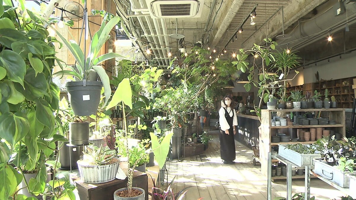 とある植物屋さん 植物たちとのトキメク時間…都会に広がる緑のオアシス「オシャレな園芸