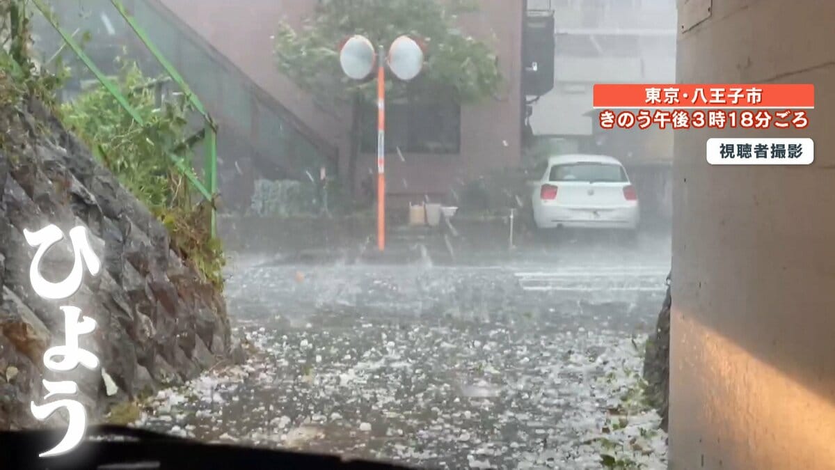 希少気象天然の雹ひょう千葉・茨城産落ちたてホヤホヤ厳選採集