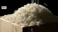 コメ価格さらに値下がりか　新米と古米“逆転現象”も　備蓄米買い戻しでどうなるか