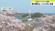 潮風に揺れて花びらヒラヒラ…港町浜田の公園でソメイヨシノ満開！8日は花散らしの強風に注意（島根）