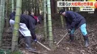 児童らが大松明の竹準備　神社の裏山から80本運び出す　来年の「お水送り」に向けて