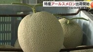 「猛暑」のおかげで糖度14度超！島根県産「アールスメロン」1億円超の売上めざし山陽や関西に出荷開始