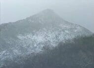 【標高800ｍの変死体】”頭と下半身の無い”白骨化遺体…「登山が趣味」今年1月から行方不明の中国籍男性か＿近くには”身分証”も…身元確認進める〈北海道・斜里岳〉