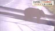 大仙市内でクマの目撃相次ぐ　出社時にニアミスの会社員も　クマダスに多くの情報寄せられる　秋田