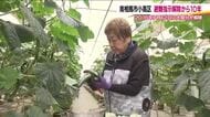 それぞれの新たな一歩　避難指示解除から10年の南相馬市小高区　帰還率3割　復興の現在地
